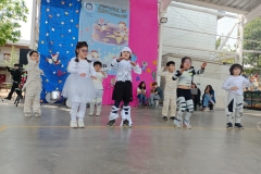 aniversario-380