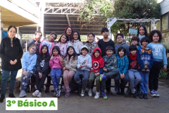 3-Basico-A