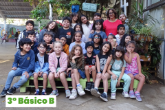 3-Basico-B